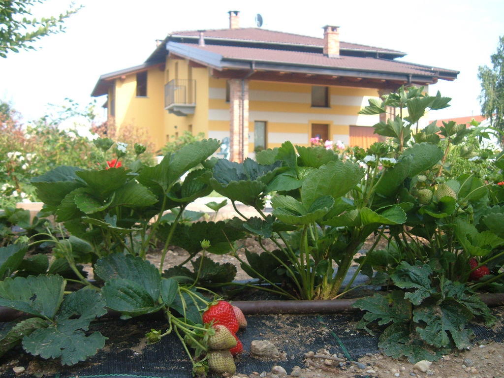 Agriturismo Fior Di Campo Dronero Exterior foto